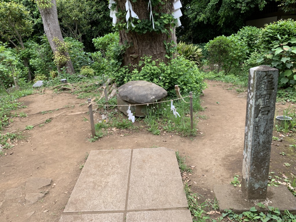 亀石、かめくす撮影