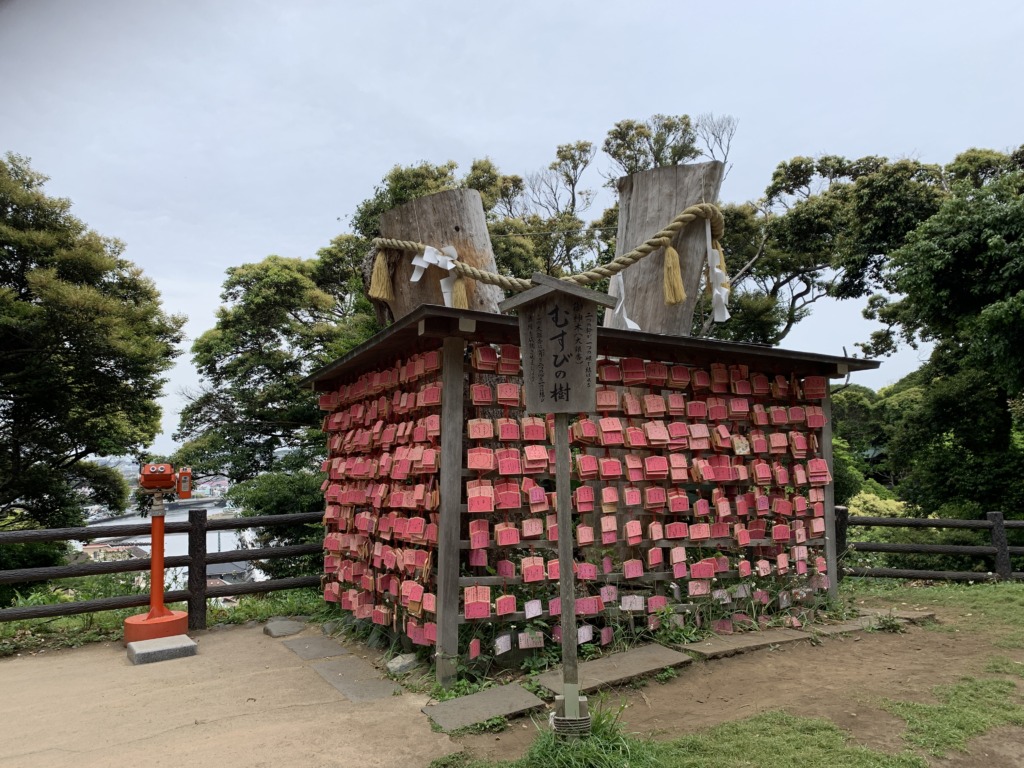縁結びの樹、かめくす撮影